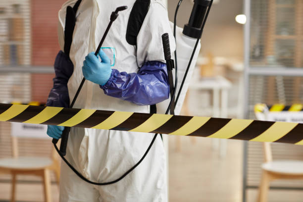 Professional Hoarding Cleanup technician working in Clute, TX